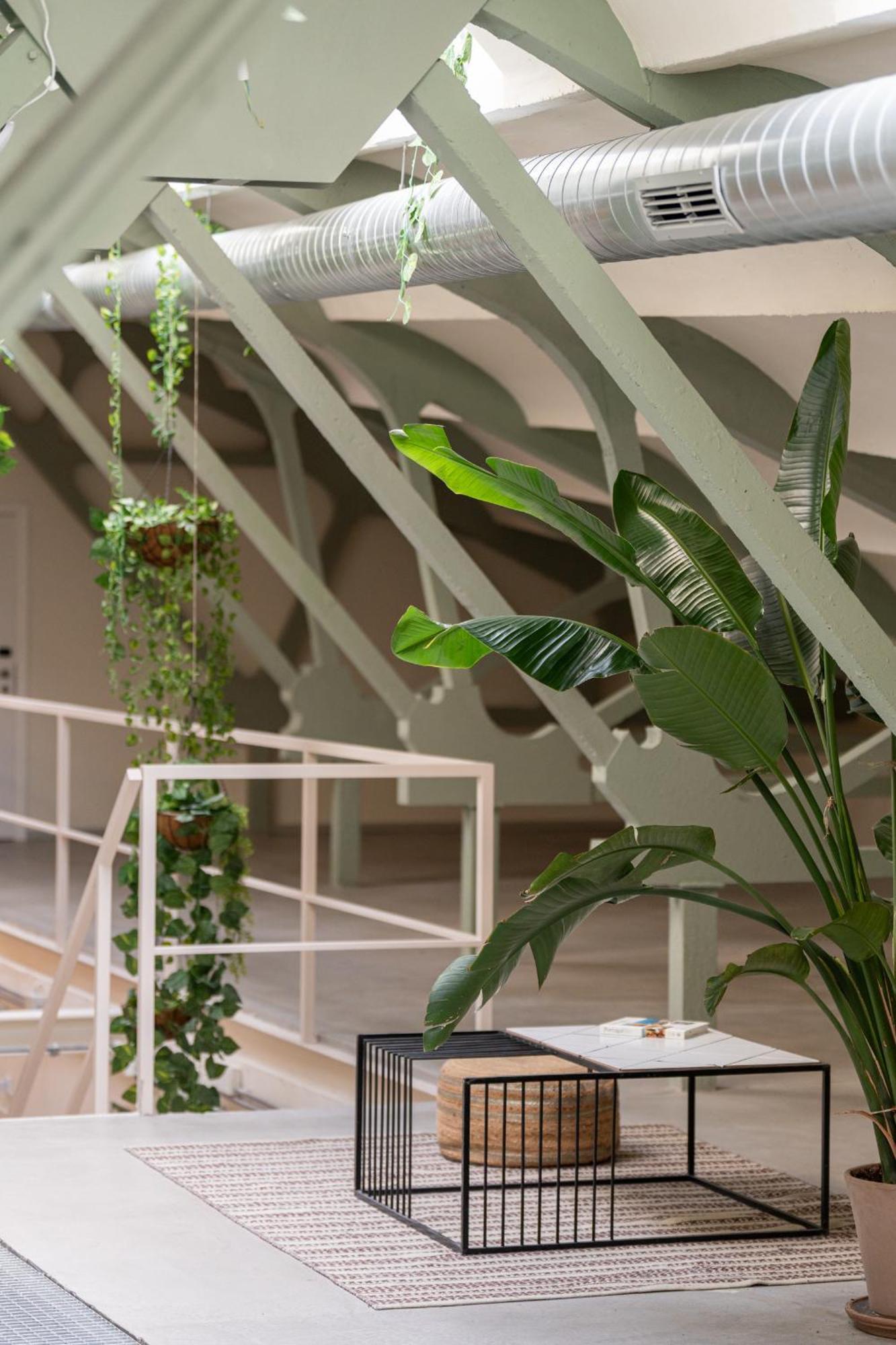 Ola Living Hostal Tetuan マドリード エクステリア 写真